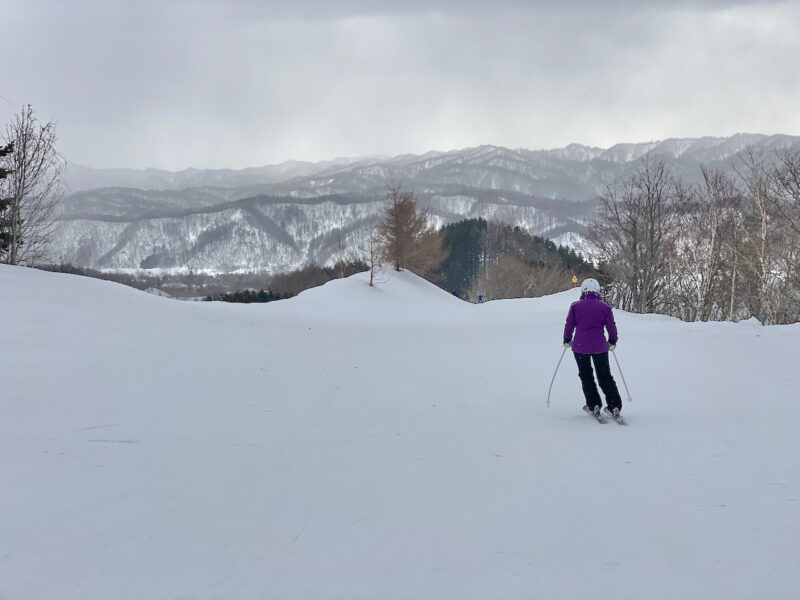 Mount Racey, Japan. Image c/o PlanetSKI.